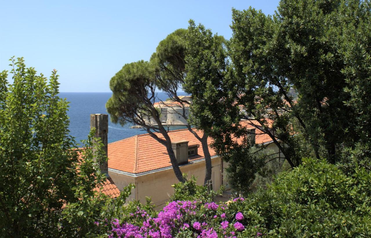 Tole Apartment Dubrovnik Eksteriør bilde